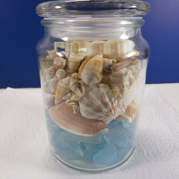 REAL sea shells & blue tumbled glass in NEW glass jar w seal & lid (+2 pounds) - Picture 5 of 16